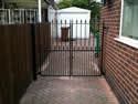 Iron Gates
